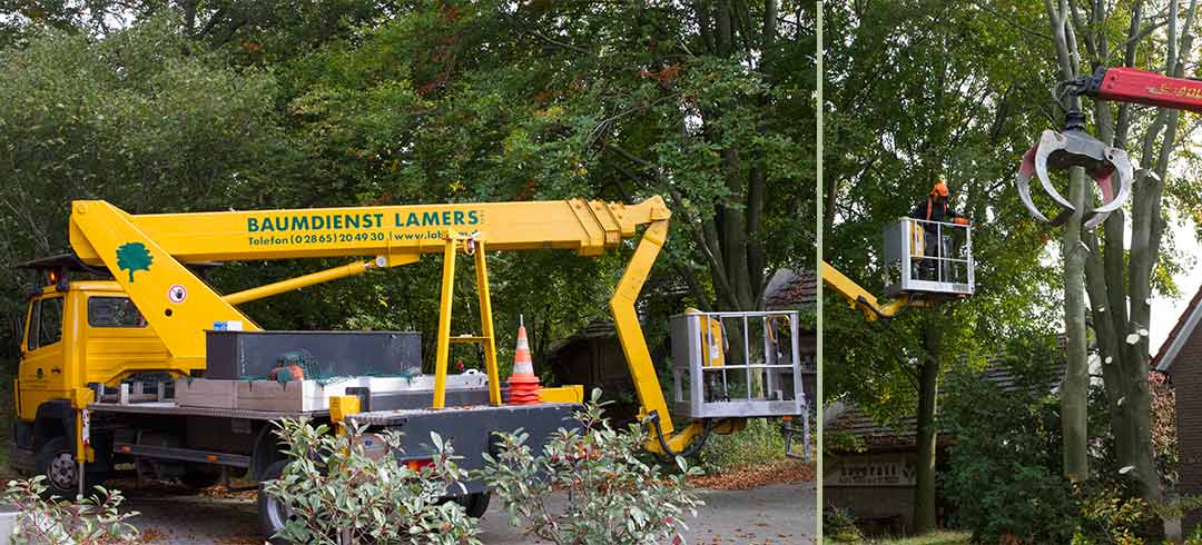 Baumpflege, Baumschnitt, Baumgutachter, Baumdienst Lamers, NRW